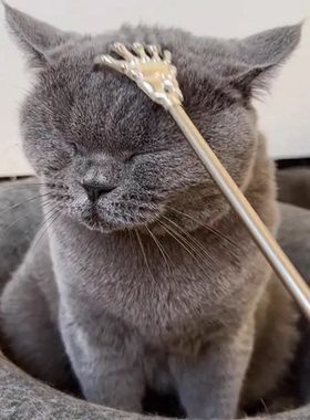 宠物猫咪挠痒神器狗狗抓痒挠猫耙子逗猫棒伸缩痒痒挠互动解闷玩具