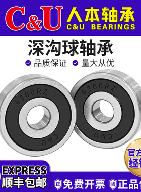 人本轴承6300高速6301大6302全6303 6304ETK6305TD 6306 6307 2RZ