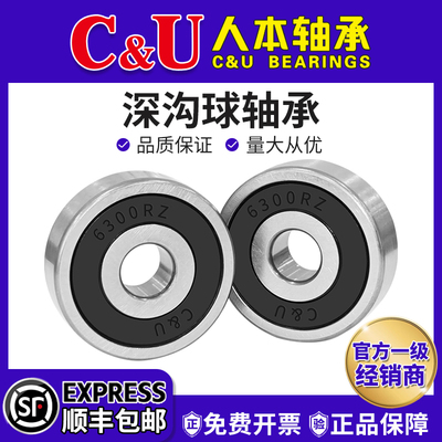 人本轴承6300高速6301大6302全6303 6304ETK6305TD 6306 6307 2RZ