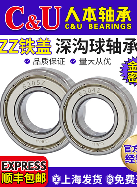 人本铁盖6202轴承6204高速6205型号6206电机6001ZZ6203 6000 6201