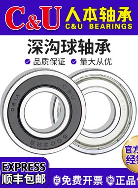 人本轴承6000高速6001耐高温6002RZ6003大6004全6005 6006ETK6007