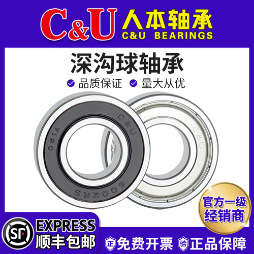 人本轴承6000高速6001耐高温6002RZ6003大6004全6005 6006ETK6007