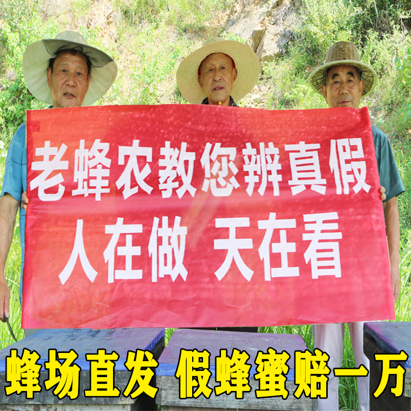 3瓶装无添加纯正天然农家自产土蜂蜜野生山百花洋槐椴树荔枝蜂蜜