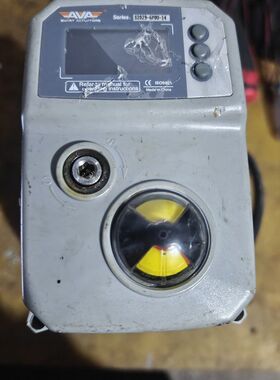 AVA S2029-6P0U-14 电动执行器 15N.M