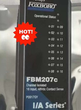 福克斯波罗FOXBOROFBM207C P0917G