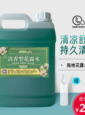 家用大瓶经典花露水驱蚊散装喷雾清香型香水持久空气清新剂大桶装
