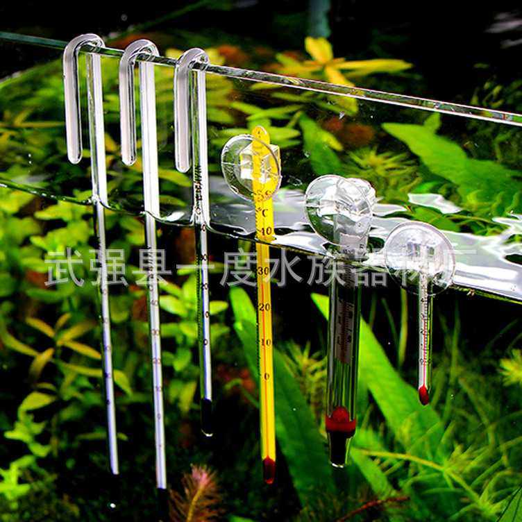 新款直销水族器材温度计吸盘棒温度计鱼缸温度计鱼缸温度表水族箱,宠物/宠物食品及用品,水温计,淘宝优惠券,粉丝福利购,淘宝优惠卷