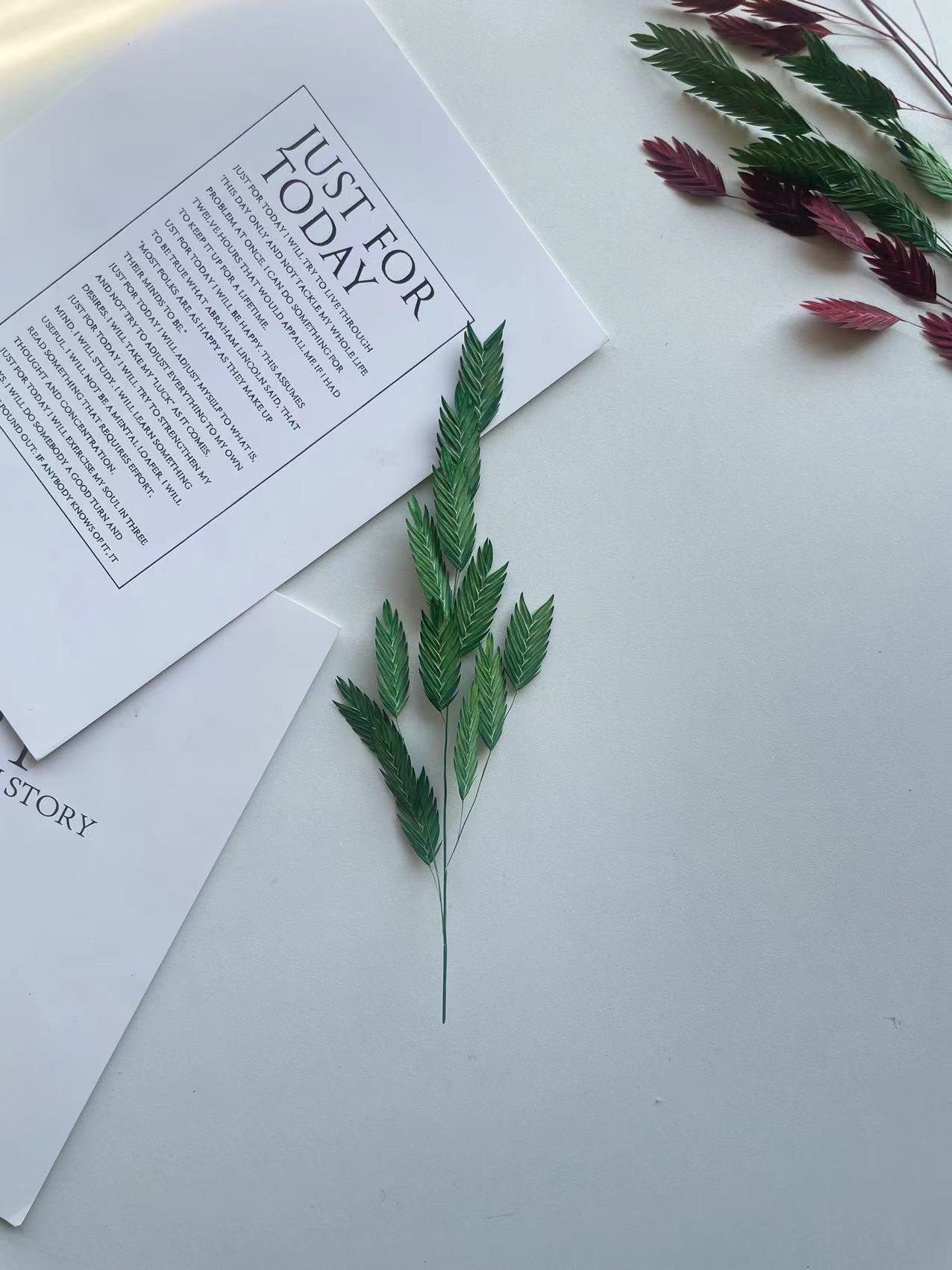 永生花小盼草麦穗保鲜花干花装饰diy配叶材材料包手工花盒玻璃罩