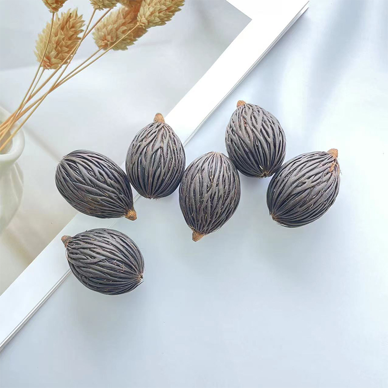 狐尾椰子 天然千丝果菩提子原籽挂件装饰吊坠DIY材料手作标本干花