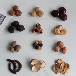 平安豆皂荚果千丝果 植物果实豆荚娃娃手工diy材料干花果实标本