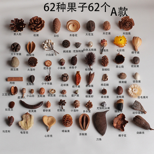天然植物果壳相框标本材料装饰干花片幼儿园手工diy圣诞节材料包