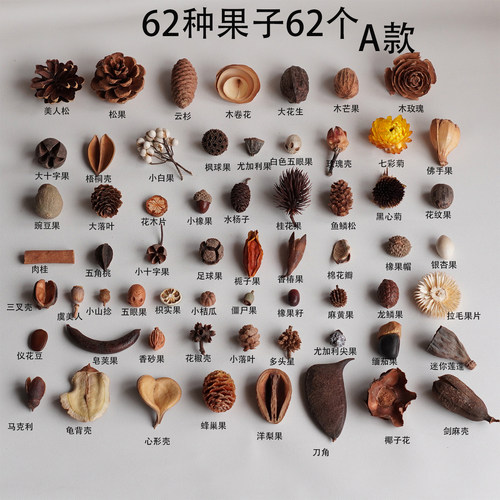 植物果壳相框干花片圣诞材料包