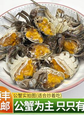 活蟹产地直发鲜活大闸蟹螃蟹河蟹六月黄大闸蟹1.3-1.6两/只8只10