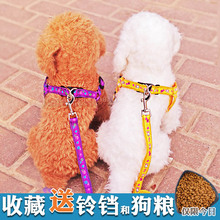 小狗狗狗链子幼犬遛狗绳子项圈1