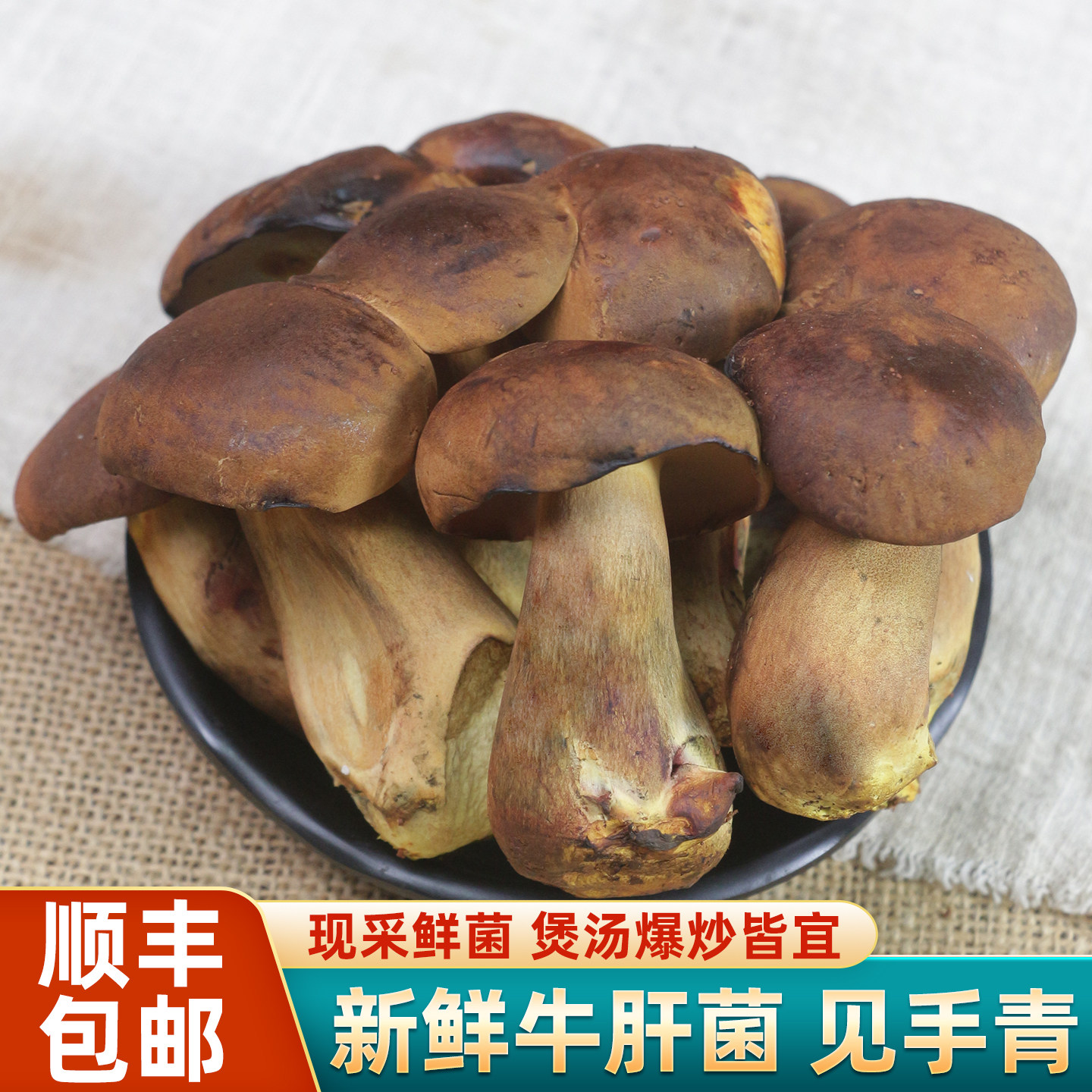 云南新鲜种植见手青500g黄牛肝菌