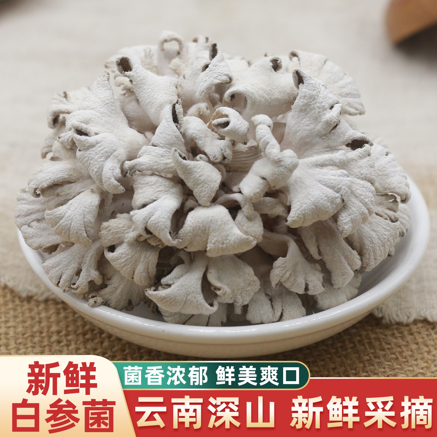 新鲜白参菌云南特产裂褶菌雪莲花现摘现发鲜蘑菇炒菜菌菇批发500g