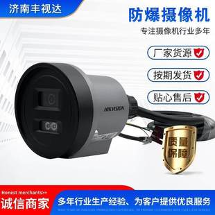 3040WD红外白光网络筒形防爆摄像机 工厂海康威视DS 2XE3020WD