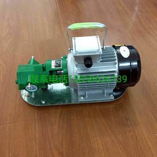 手提式 耐高温 WCB 耐腐蚀 机油 550W单三相齿轮油泵 全新厂家供应