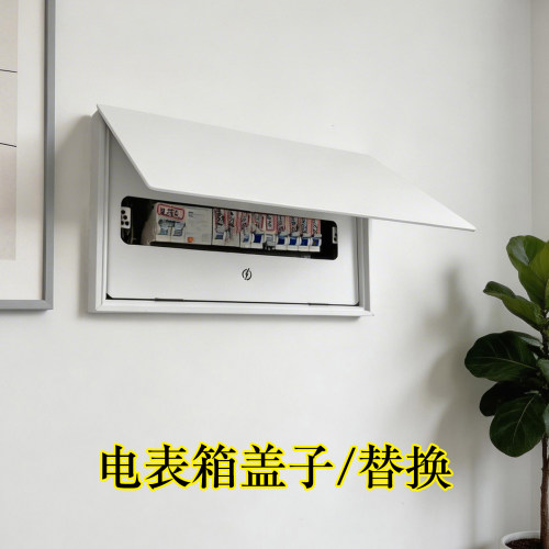 陌树替换电表箱原装盖子装饰画