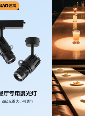 聚光led大光圈切光灯导轨道灯ktv舞台剧本杀酒吧清吧餐厅餐桌氛围