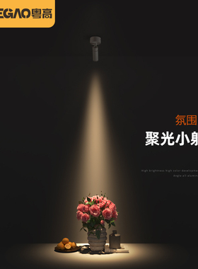 迷你一束聚光led明装轨道灯射灯小角度嵌入式氛围灯茶室餐桌摆件