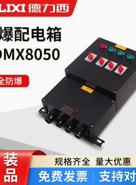 德力西BDMX8050系列防爆防腐配电箱 不锈钢防爆照明动力箱接线箱