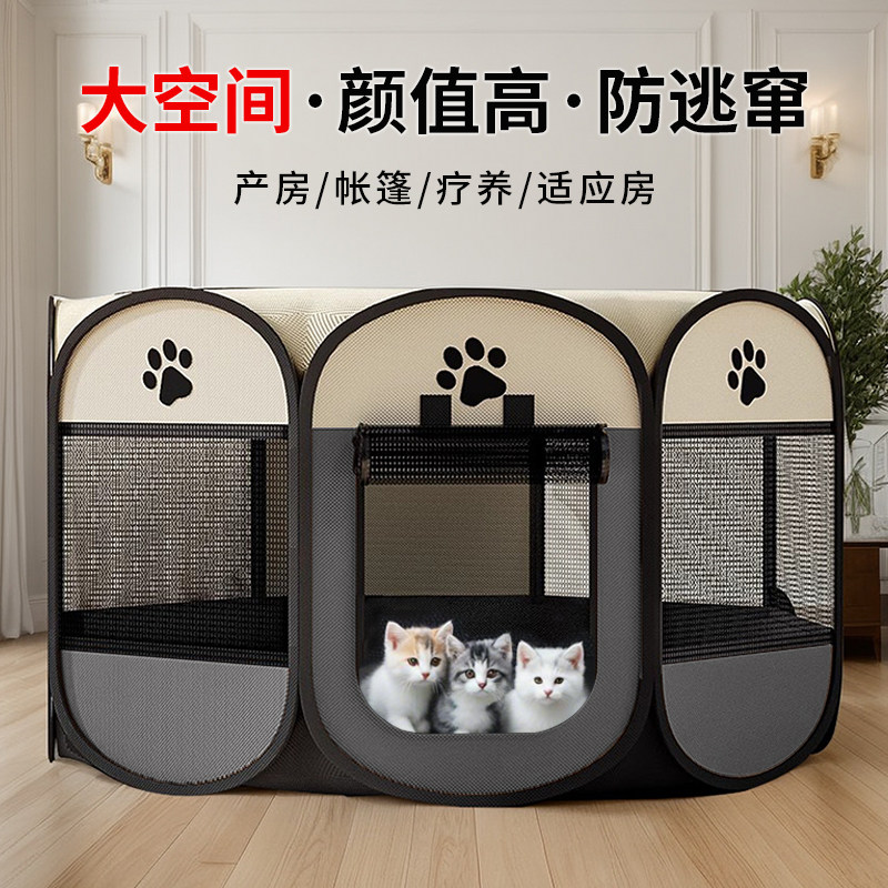 猫咪狗狗儿童春游户外帐篷图片