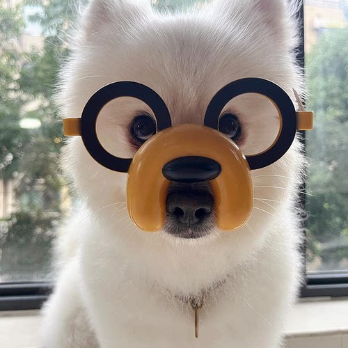 宠物搞怪生日装饰宠物用品