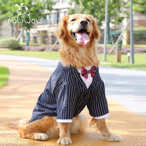 西装礼服狗狗结婚西服装金毛哈士奇拉布拉多萨摩耶大型犬大狗衣服