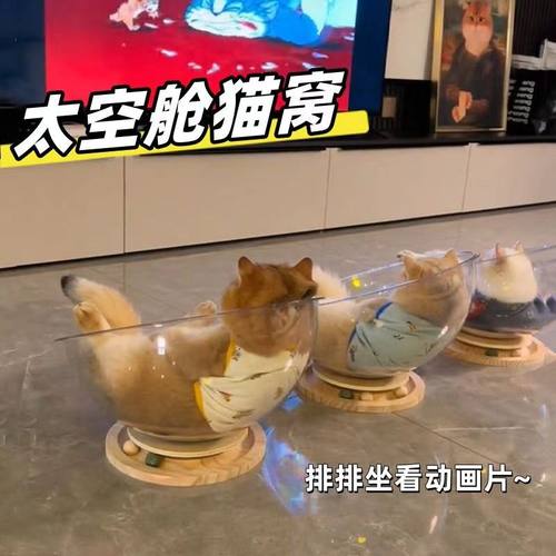 猫咪沙发四季通用宠物用品猫床