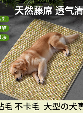 大型犬狗狗专用凉席地垫冰垫垫子