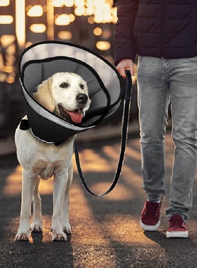中大型犬耻辱圈宠物加深加大伊丽莎白圈狗防咬防舔防抓头套可调节