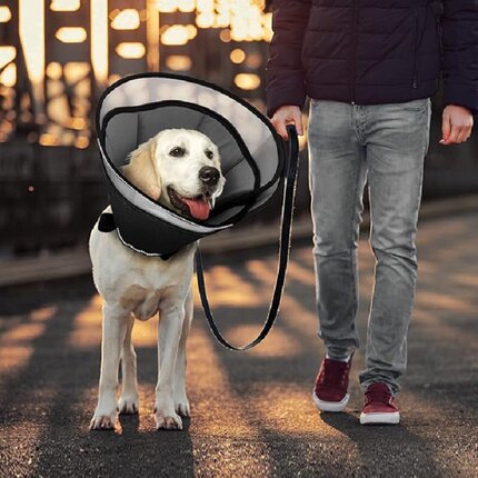 中大型犬耻辱圈宠物加深加大伊丽莎白圈狗防咬防舔防抓头套可调节