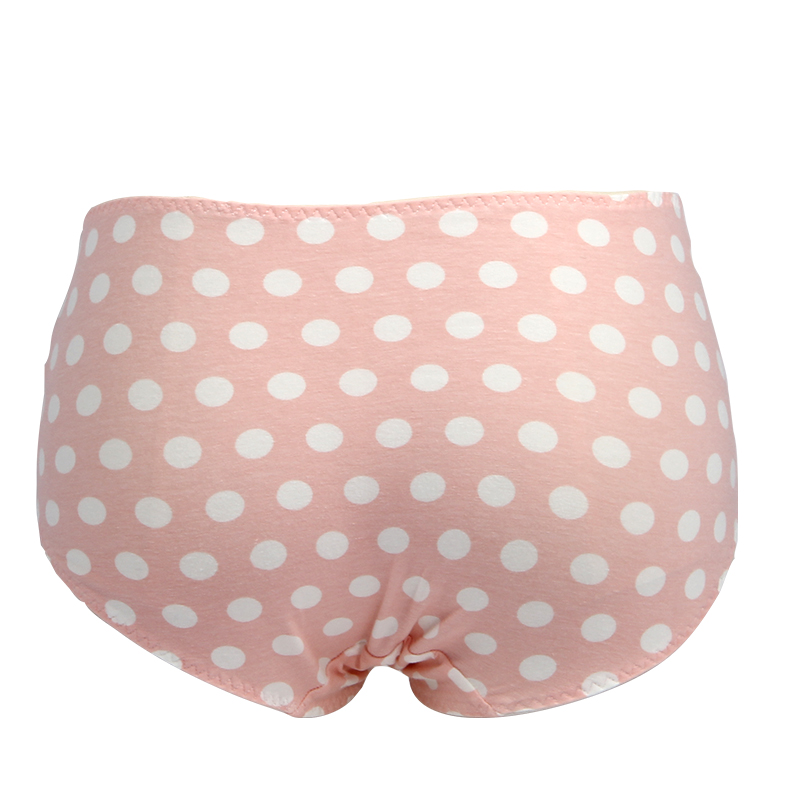 Slip ANNPHIA P157 en coton - Ref 646787 Image 4