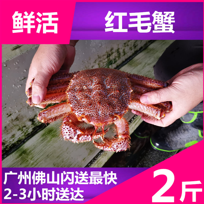 【鲜活红毛蟹】鲜活螃蟹野生进口海鲜水产进口毛蟹帝王蟹提前订