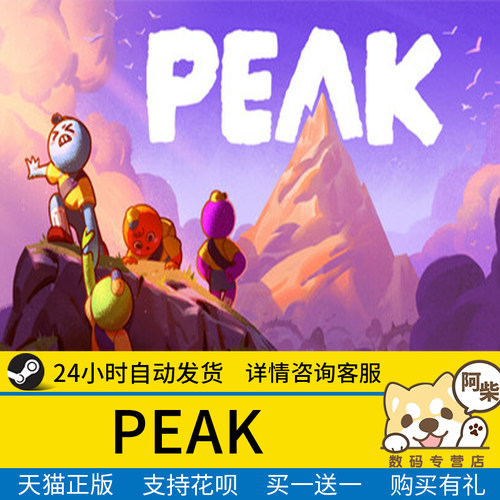 Steam正版 PEAK 国区礼物激活 PEAK
