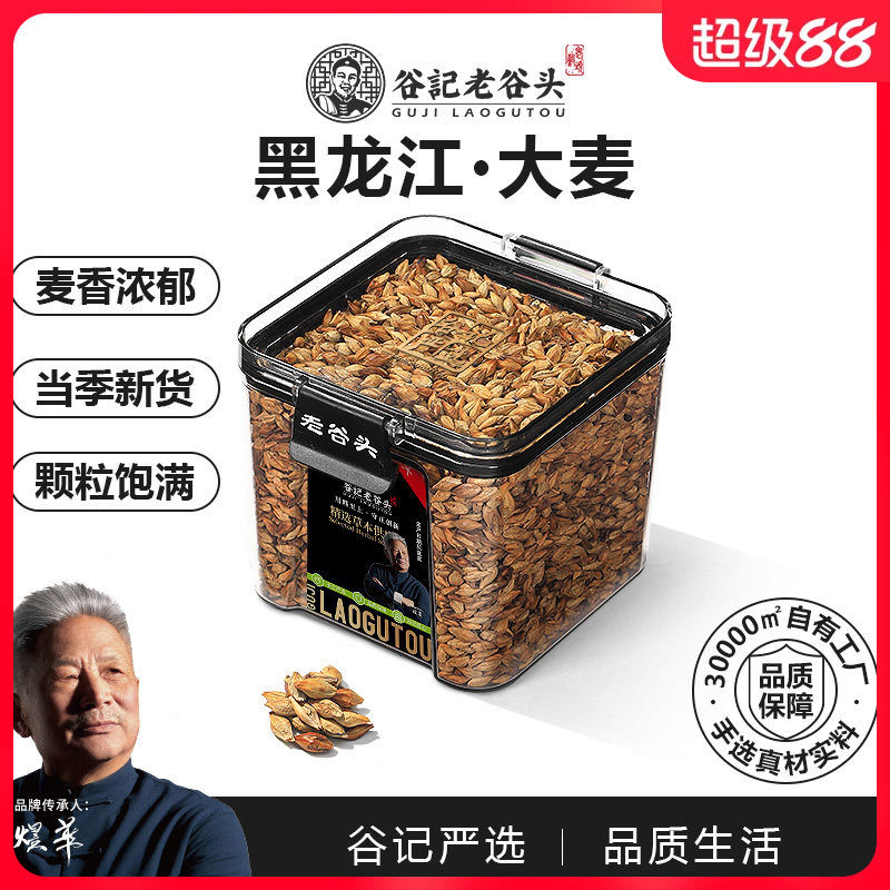 原味产品浓香型特级苦荞麦茶图片
