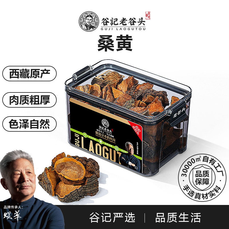 老谷头西藏特产整朵切块桑黄泡水灵芝桑树大桑黄