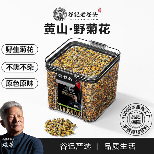 老谷头野菊花材正宗新货野菊花胎菊泡茶泡水