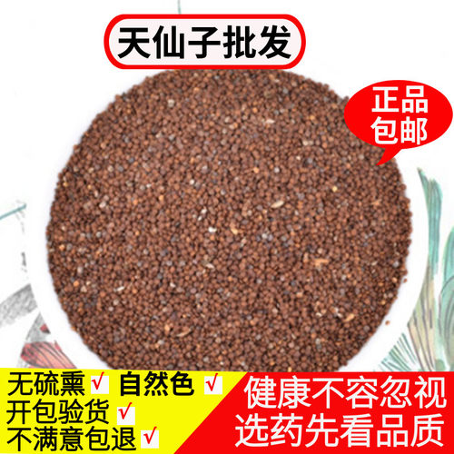 天仙子中药材500g克包邮