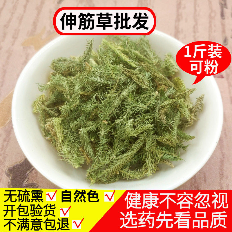 伸筋草中药材野生500克包邮 正品舒筋草红花艾叶伸筋草透骨草泡脚
