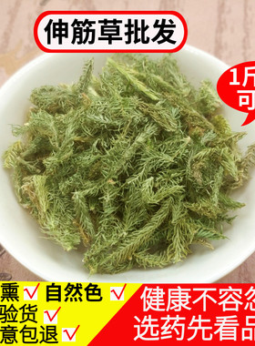 伸筋草中药材野生500克包邮 正品舒筋草红花艾叶伸筋草透骨草泡脚