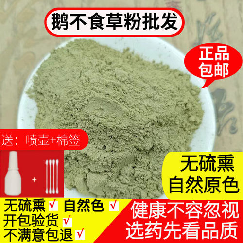 鹅不食草粉中药材500g鼻子通气