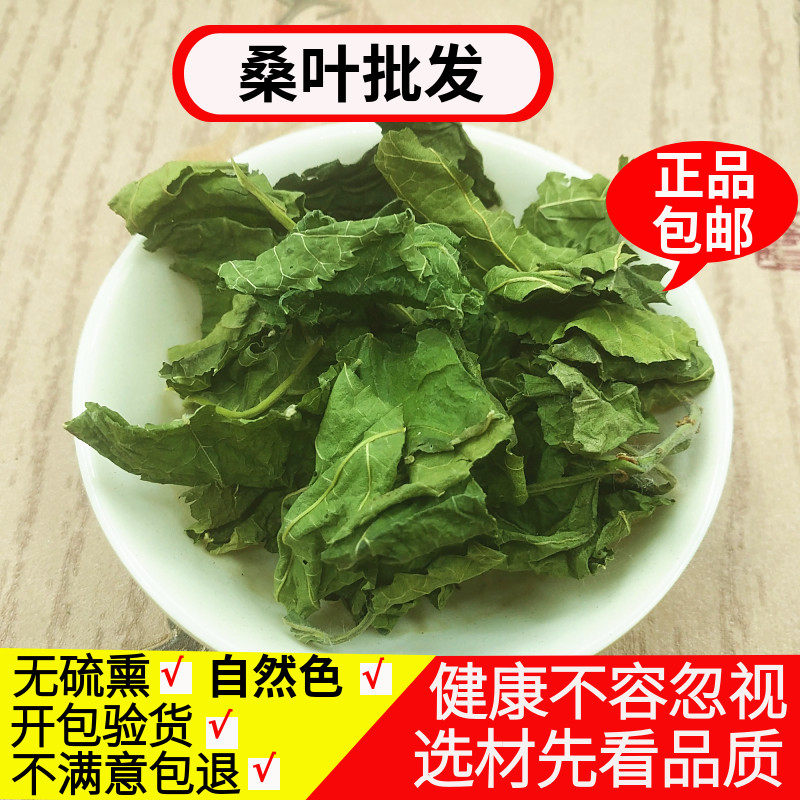 桑叶干货中药材 青桑叶干500g包邮桑椹叶洗头发磨桑叶粉非霜桑叶