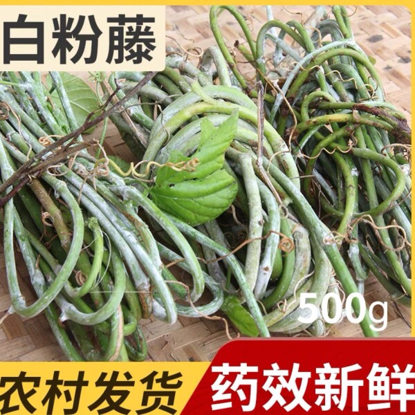 农村白粉藤新鲜独脚乌桕夜牵牛青龙跌打广东中草药青筋藤现采
