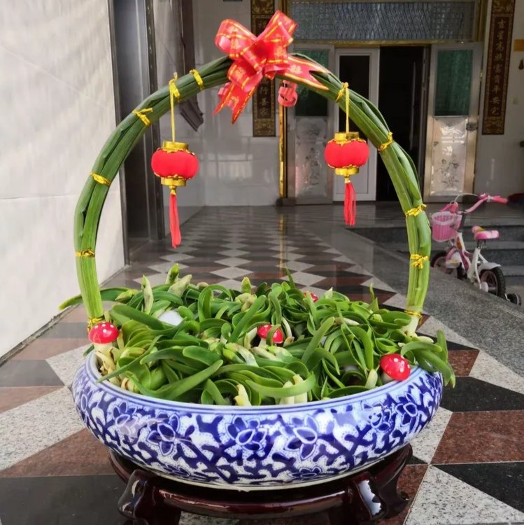 雕刻水仙花种球盆栽水养带花苞年宵花卉植物室内好养陶瓷盆花篮,鲜花速递/花卉仿真/绿植园艺,造型盆景,淘宝优惠券,粉丝福利购,淘宝优惠卷