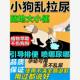 狗狗定点上厕所神器定点排便诱导剂训练狗狗猫咪定点上厕所不乱拉