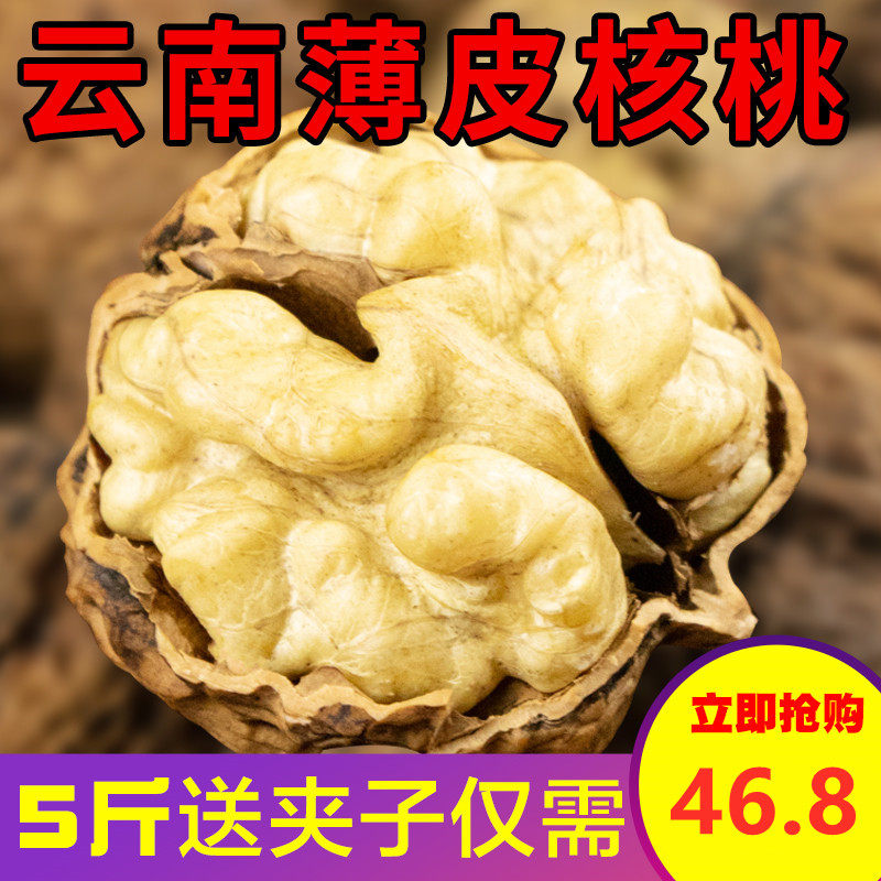 大麻子核桃2024年云南大理薄皮新货大果原味纸壳特产孕妇生坚果