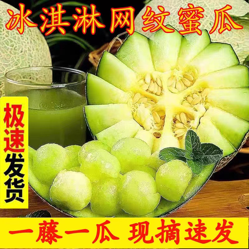 冰淇淋网纹蜜瓜当季新鲜海阳正宗哈密瓜现摘甜瓜山东玲珑瓜顺丰,水产肉类/新鲜蔬果/熟食,哈密瓜,淘宝优惠券,粉丝福利购,淘宝优惠卷