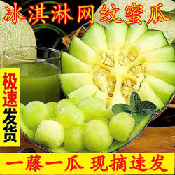 冰淇淋网纹蜜瓜当季新鲜海阳正宗哈密瓜现摘甜瓜山东玲珑瓜顺丰
